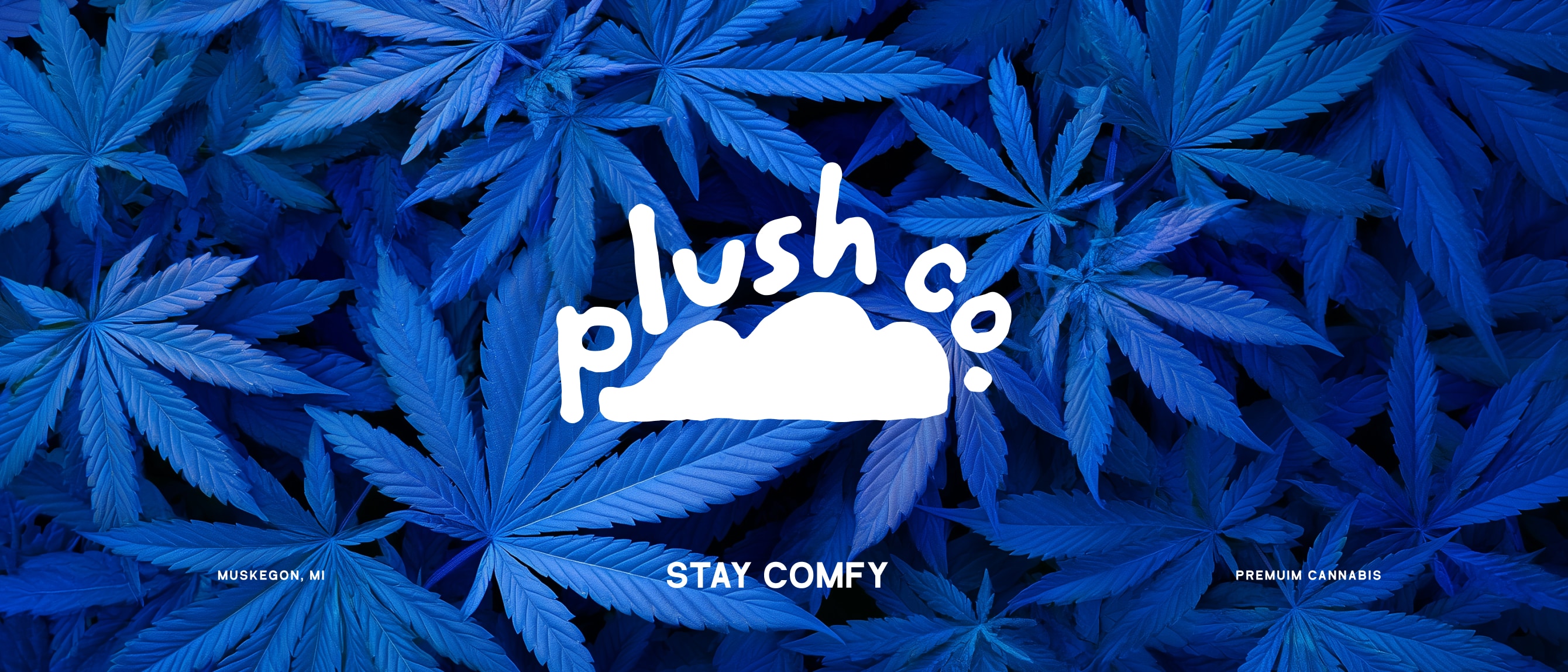 Plush Co full-width hero 1