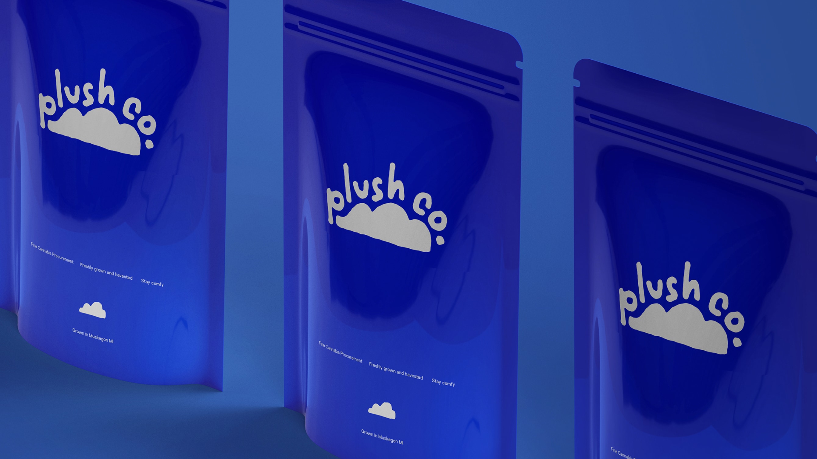 Plush Co full-width hero 3