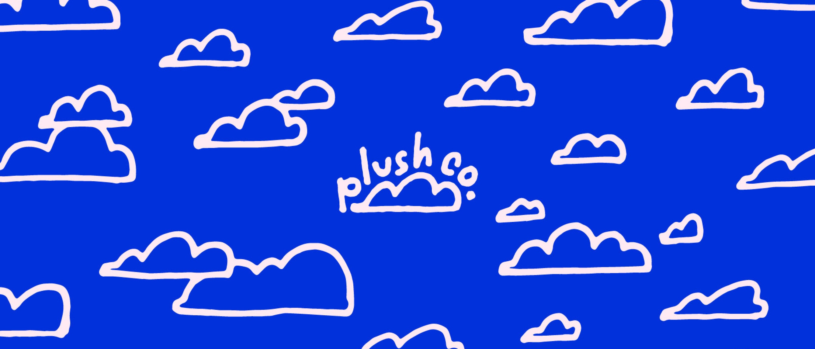 Plush Co full-width hero 5