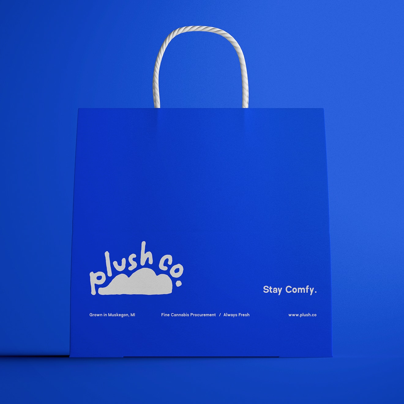 Plush Co paired media right 2