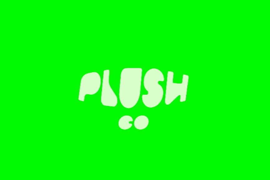 Plush Co masonry image 1
