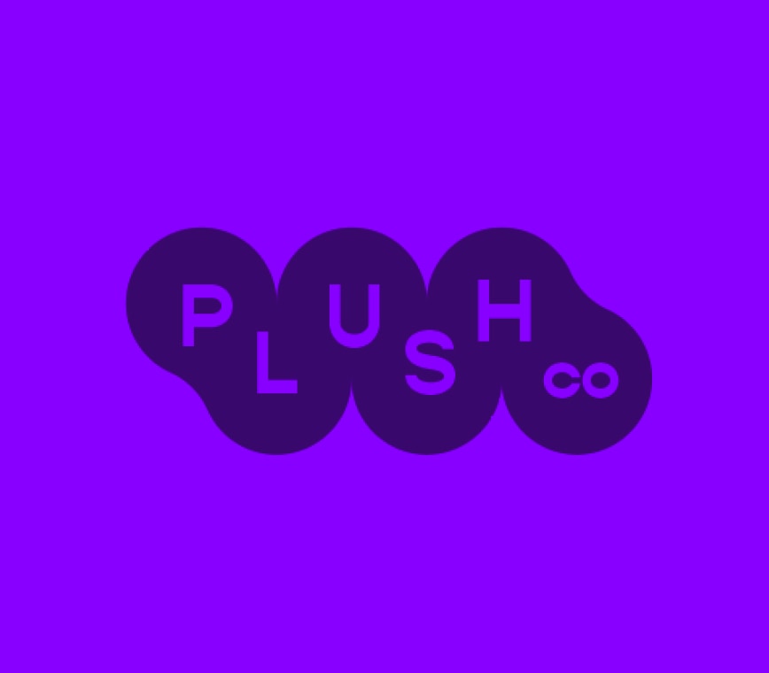 Plush Co masonry image 11