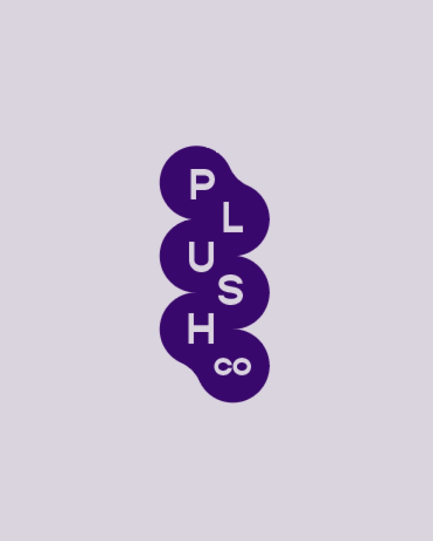 Plush Co masonry image 3
