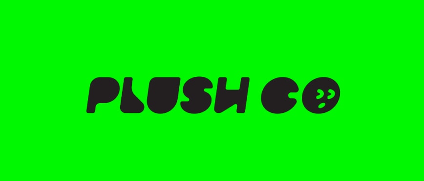 Plush Co masonry image 6